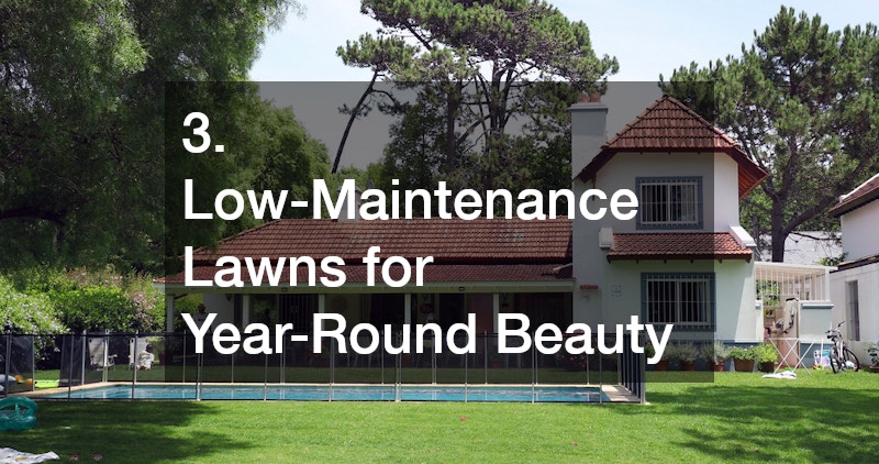 backyard lawn